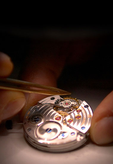 Sanda Discount Watches